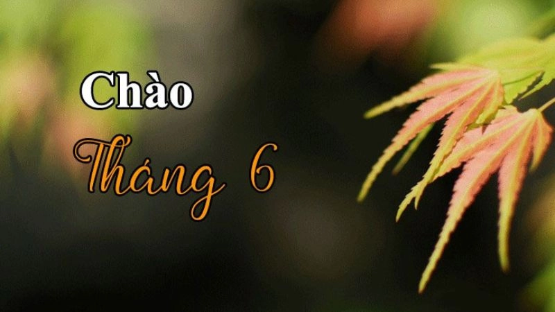 Những vần thơ sau sẽ giúp bạn khởi đầu tháng 6 thật nhiều năng lượng