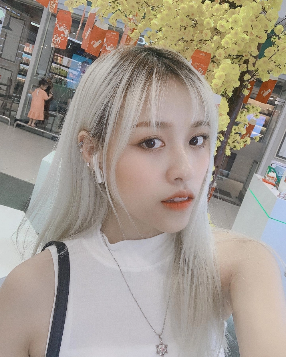 Trà đặng ở đâu hiện là câu hỏi hot trên các nền tảng tìm kiếm